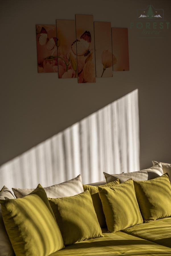 Forest Breeze Apartterrace Braşov Extérieur photo