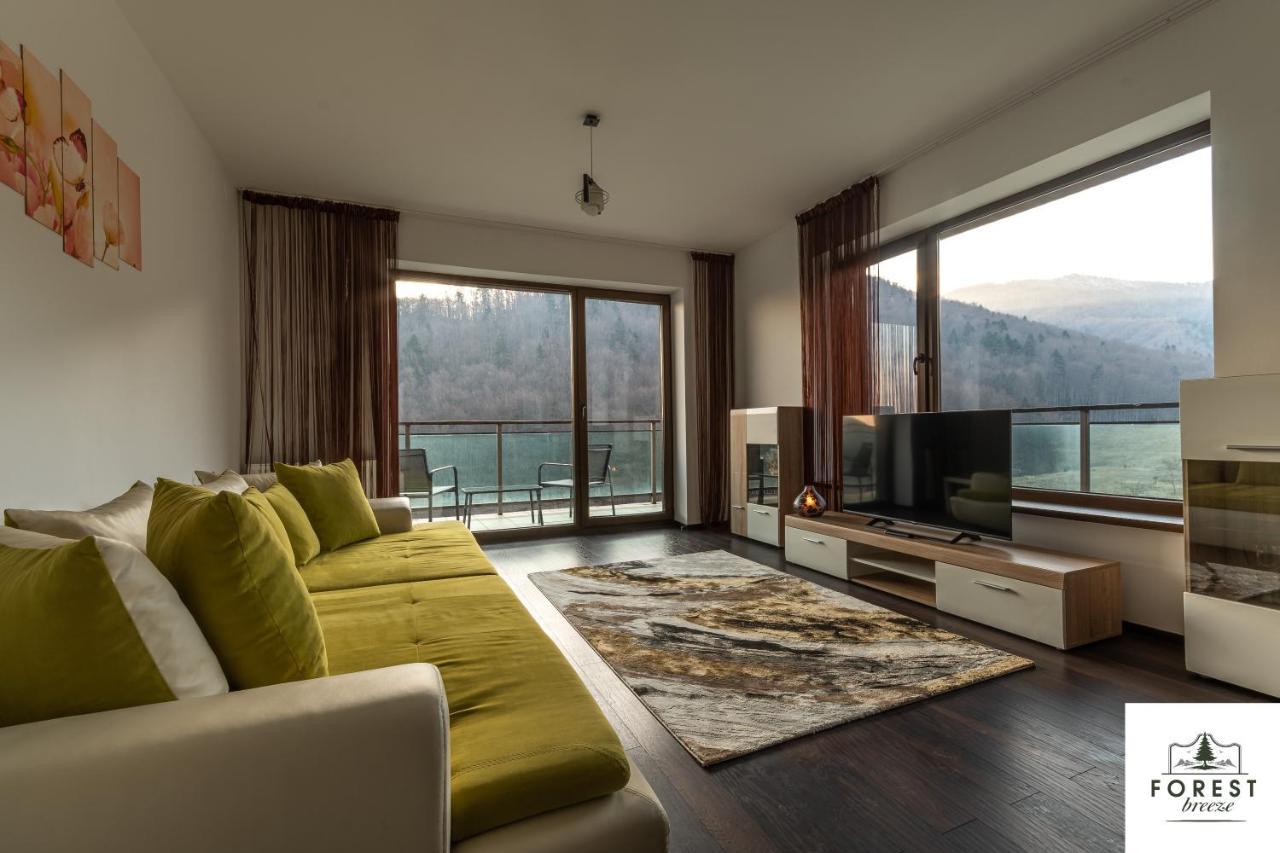 Forest Breeze Apartterrace Braşov Extérieur photo