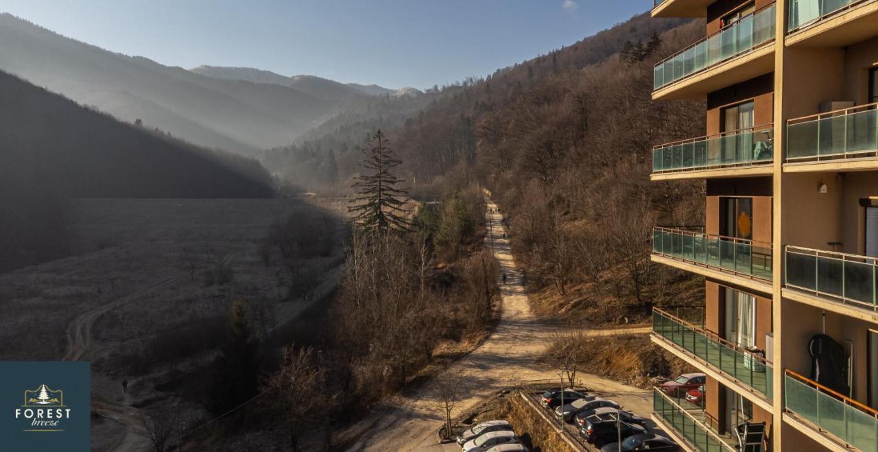 Forest Breeze Apartterrace Braşov Extérieur photo