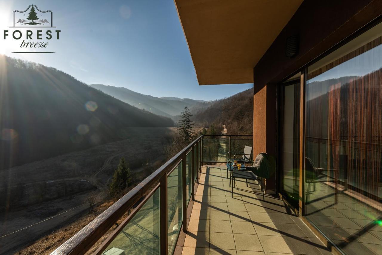 Forest Breeze Apartterrace Braşov Extérieur photo