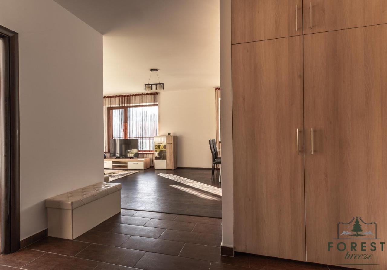 Forest Breeze Apartterrace Braşov Extérieur photo