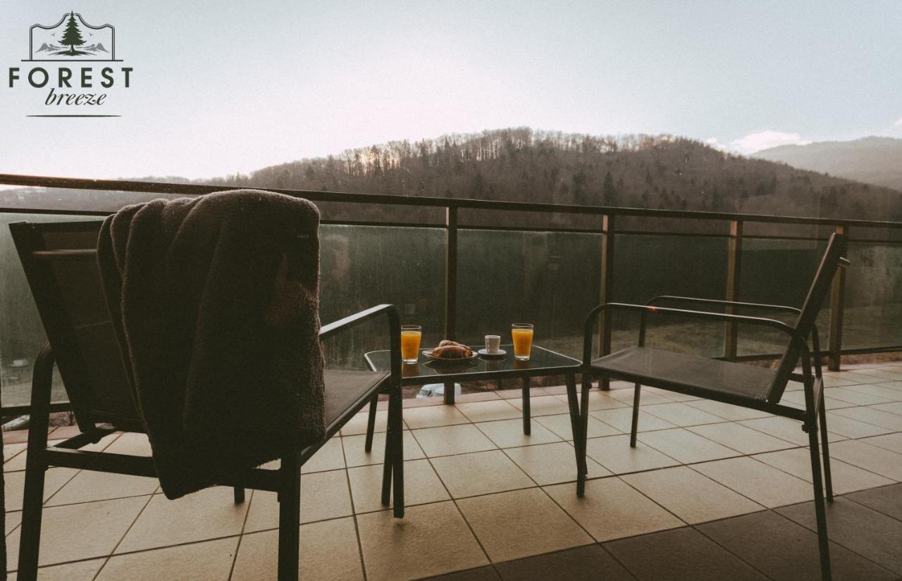 Forest Breeze Apartterrace Braşov Extérieur photo