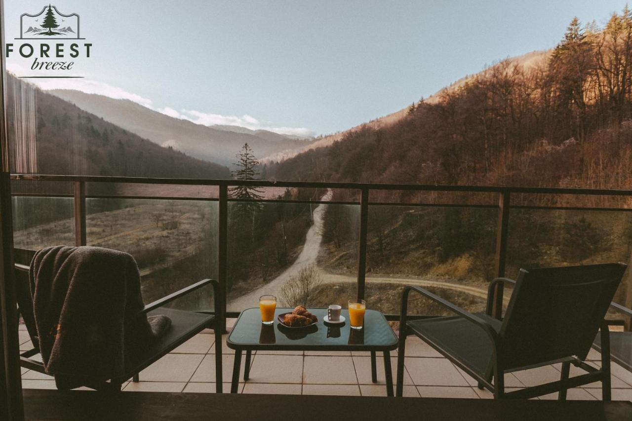 Forest Breeze Apartterrace Braşov Extérieur photo