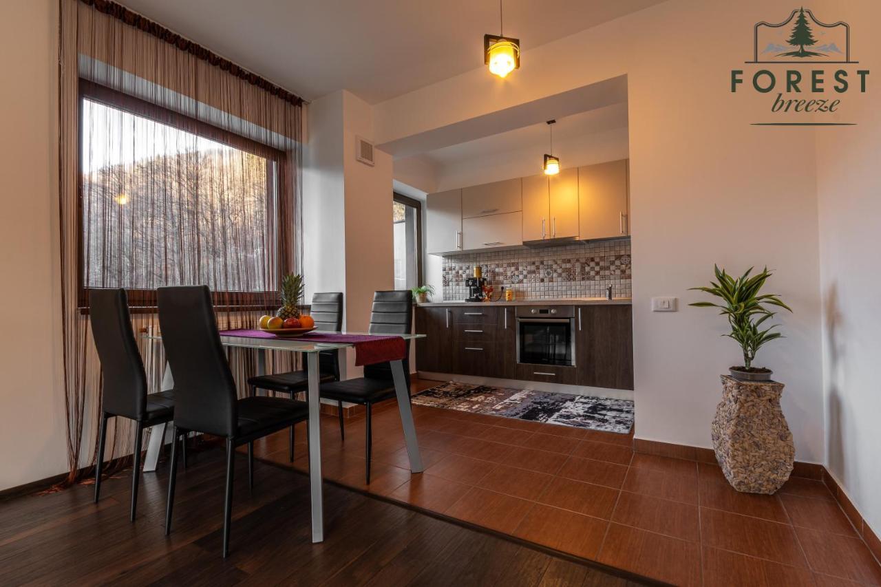Forest Breeze Apartterrace Braşov Extérieur photo