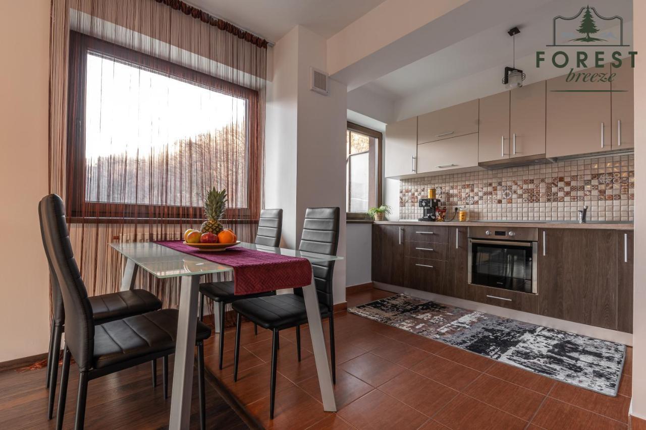 Forest Breeze Apartterrace Braşov Extérieur photo