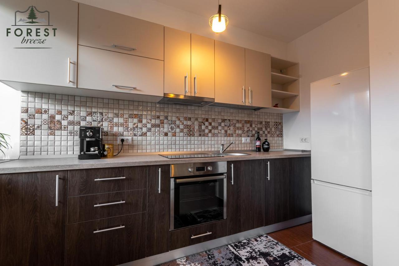 Forest Breeze Apartterrace Braşov Extérieur photo