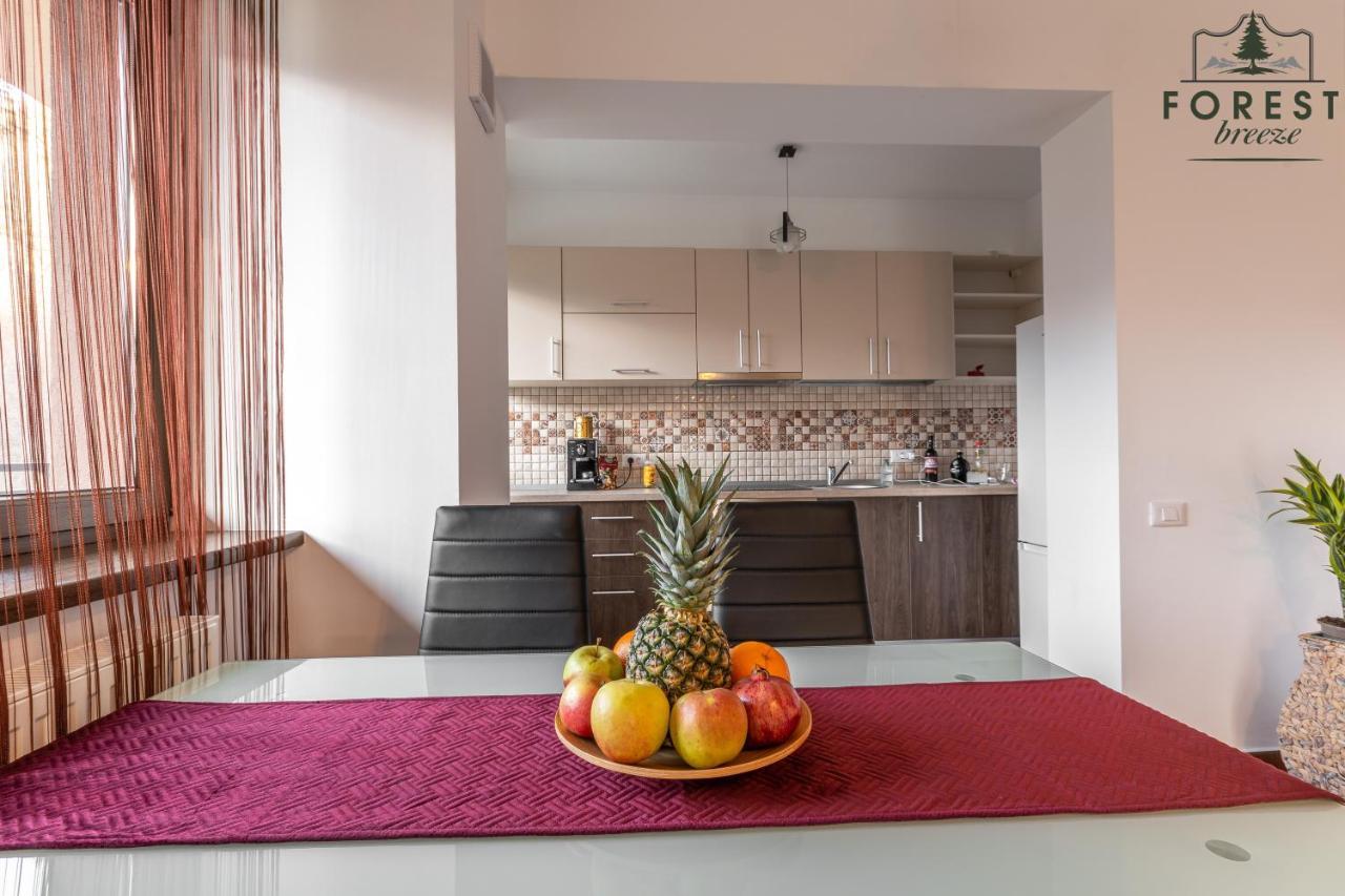 Forest Breeze Apartterrace Braşov Extérieur photo