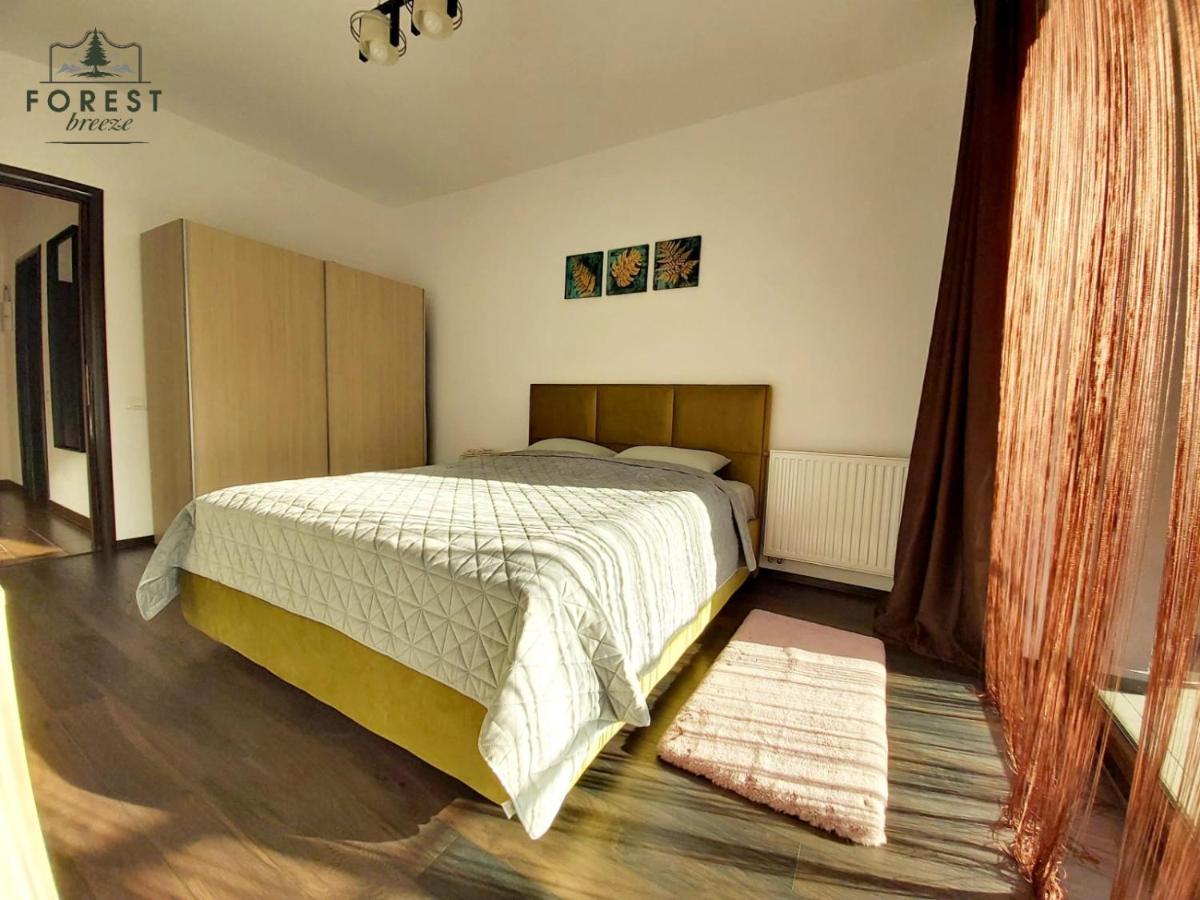 Forest Breeze Apartterrace Braşov Extérieur photo