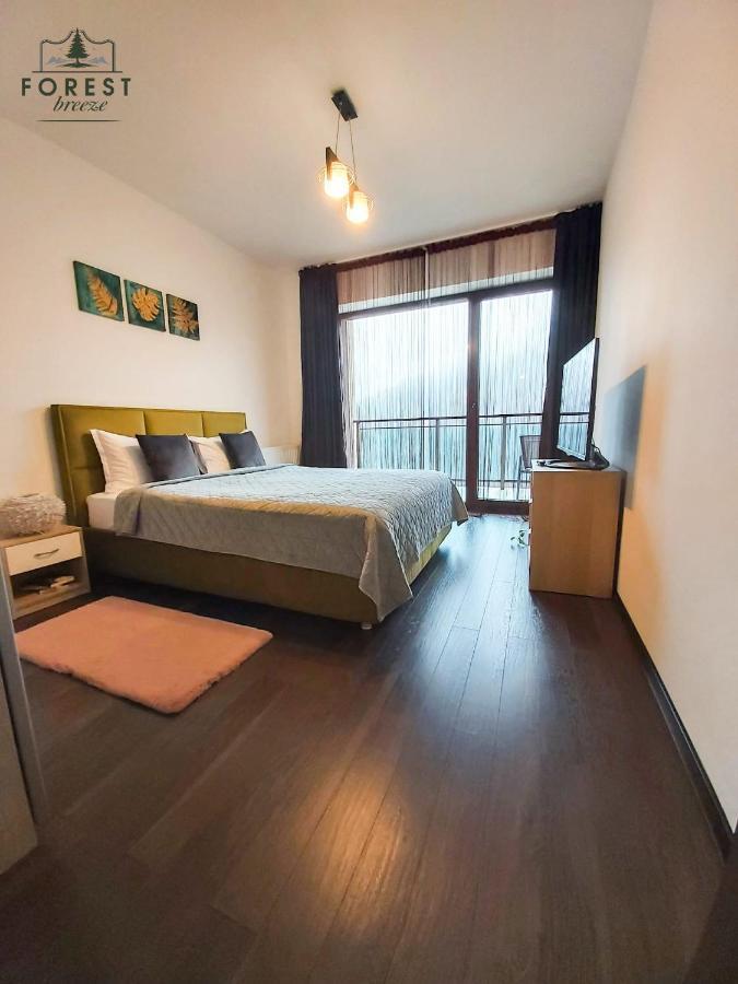 Forest Breeze Apartterrace Braşov Extérieur photo