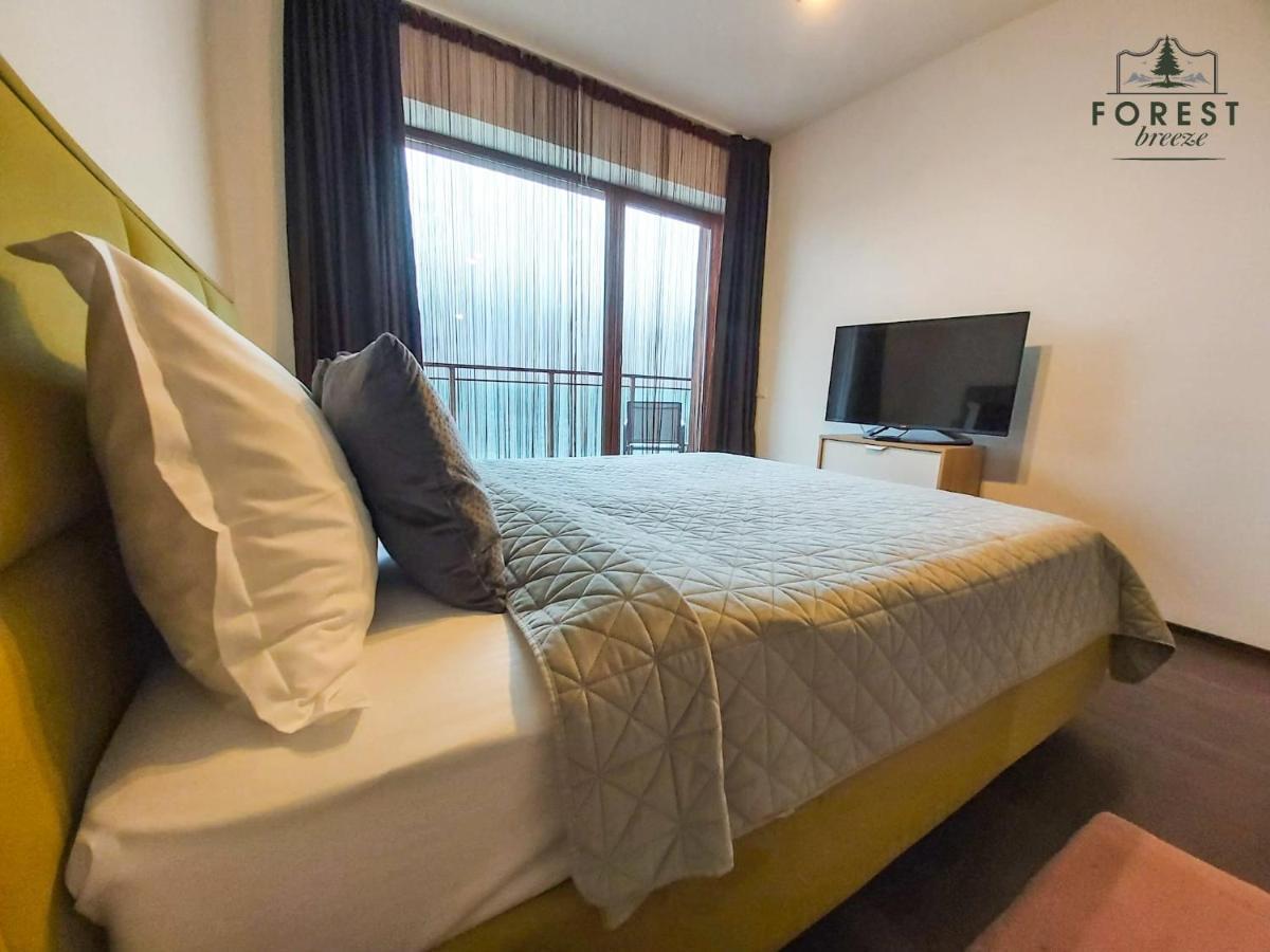 Forest Breeze Apartterrace Braşov Extérieur photo