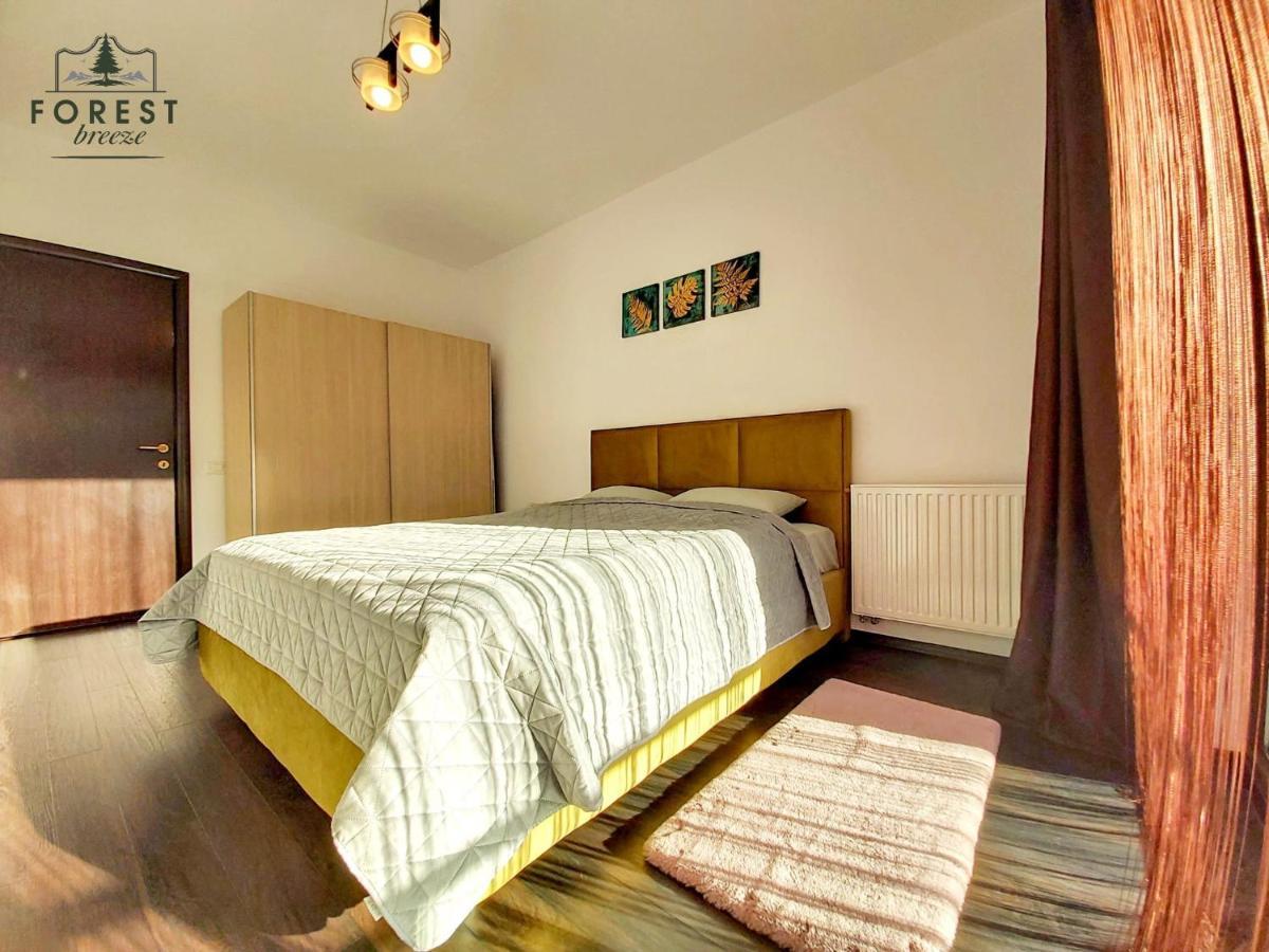 Forest Breeze Apartterrace Braşov Extérieur photo