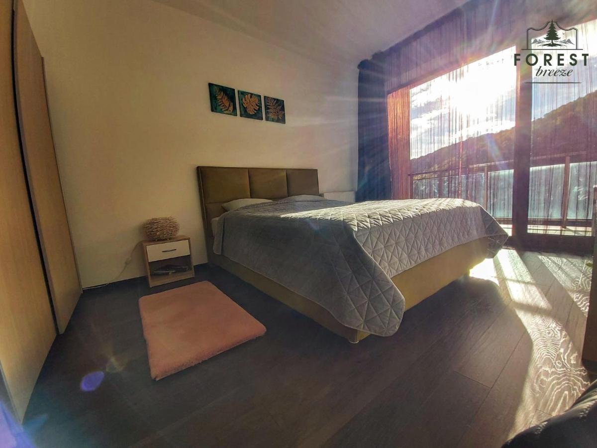 Forest Breeze Apartterrace Braşov Extérieur photo