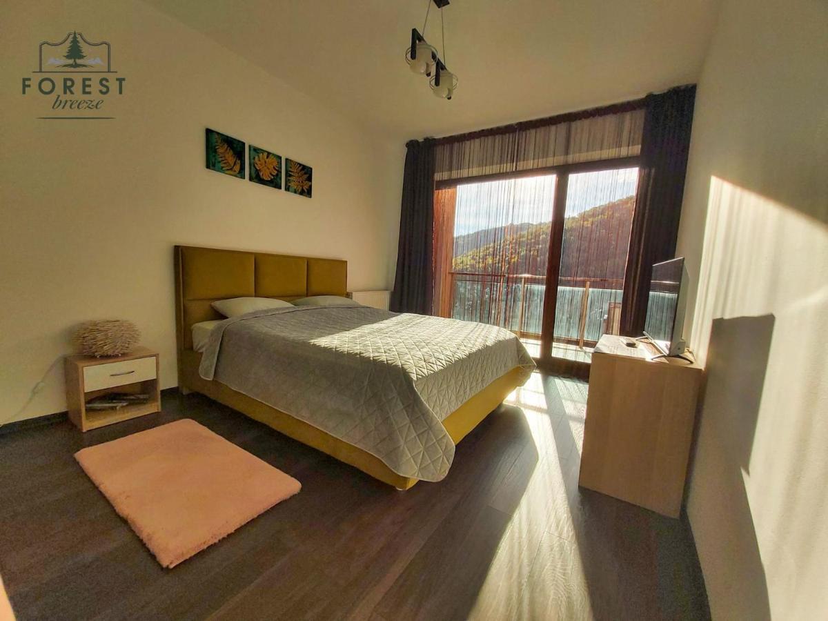 Forest Breeze Apartterrace Braşov Extérieur photo