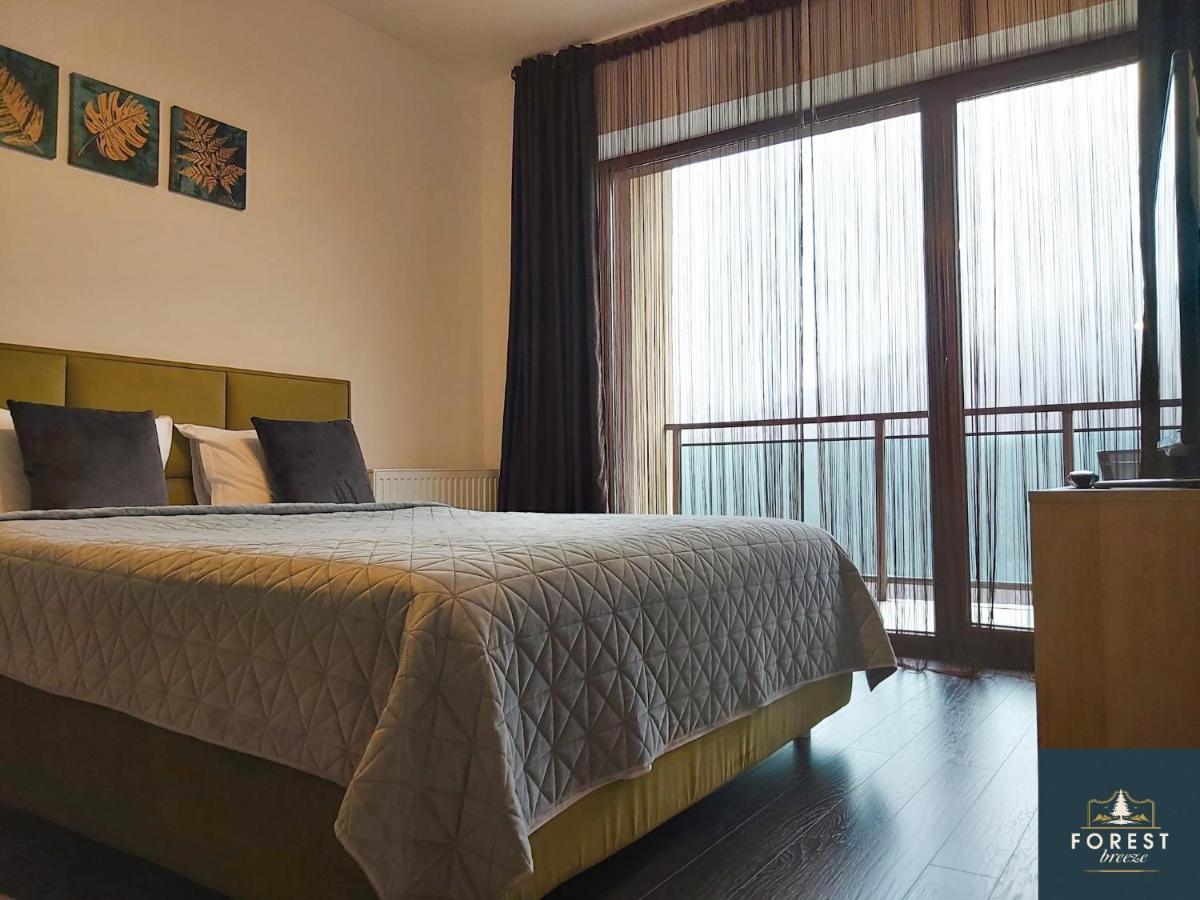 Forest Breeze Apartterrace Braşov Extérieur photo